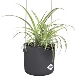 Elho B.for Swing 18 Hangpot - Bloempot Voor Binnen - Ø 18.0 X H 16.5 Cm - Zwart/Antraciet -Tuin Aanleg 1191x1200 15