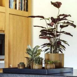 Capi Europe - Bloempot Bol Groove XL - 33x35 - Goud - Bloempot Voor Binnen - Opening ⌀28 - GVGB932 -Tuin Aanleg 1195x1200 10