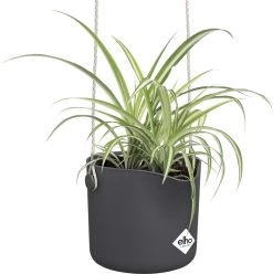 Elho B.for Swing 18 Hangpot - Bloempot Voor Binnen - Ø 18.0 X H 16.5 Cm - Zwart/Antraciet -Tuin Aanleg 1195x1200 13