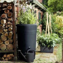 Elho Green Basics Regenton - Regenton - Living Black - Buiten - 200 Liter 35 Elho Green Basics Regenton - Regenton - Living Black - Buiten - 200 Liter -Tuin Aanleg 1198x1200 29