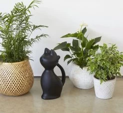 Balvi Meow! Kat Gieter - Zwart 12 Balvi Meow! Kat Gieter - Zwart -Tuin Aanleg 1200x1103 5