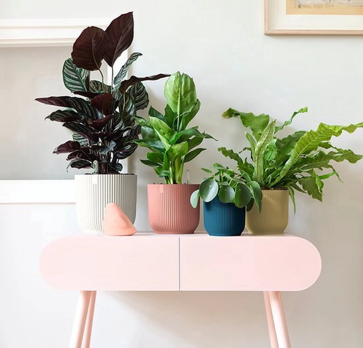 Elho Vibes Fold Rond 25 - Bloempot Voor Binnen - Ø 25.0 X H 23.0 Cm - Delicaat Roze 8 Elho Vibes Fold Rond 25 - Bloempot Voor Binnen - Ø 25.0 X H 23.0 Cm - Delicaat Roze - Afbeelding 6