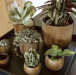 Capi Europe - Bloempot Bol Groove XL - 33x35 - Goud - Bloempot Voor Binnen - Opening ⌀28 - GVGB932 -Tuin Aanleg 1200x1191 18