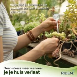 Waterdruppelaar Voor Planten - Irrigatiesysteem- Waterbol - Druppelsysteem - Watergeefsysteem Voor Kamerplanten - Plantenwatergever -6 Stuks - Transparant -Tuin Aanleg 1200x1198 40