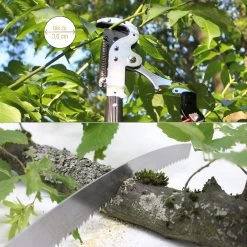 Iceberk Snoeischaar + Snoeizaag (1,45 - 3,70 M) - Telescopische Snoeischaar Voor Het Snoeien Van Bomen En Dichte Struiken Zonder Ladder -Tuin Aanleg 1200x1200 1158
