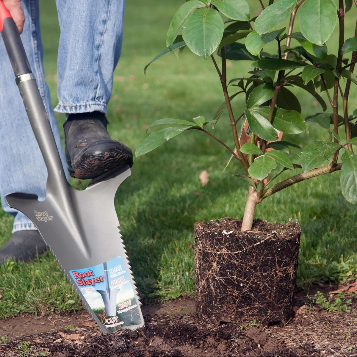 Root Slayer, Tuinschep Met Vlijmscherpe Messen - Tuingereedschap, Tuinschop, Bats, Spade, Schep, Schop, 4 Root Slayer, Tuinschep Met Vlijmscherpe Messen - Tuingereedschap, Tuinschop, Bats, Spade, Schep, Schop, - Afbeelding 2