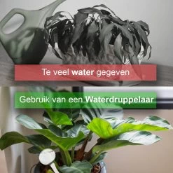Waterdruppelaar Set Van 12 Stuks - Waterdruppelaar Voor Planten - Watergeefsysteem - Waterbol Irrigatiesysteem - Automatisch Druppelsysteem Voor Kamerplanten & Tuin - Watergever - Transparant - 15cm -Tuin Aanleg 1200x1200 1890