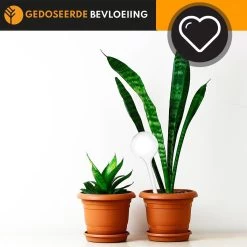 Waterdruppelaar Set Van 6 Stuks Voor Planten Transparant – 27 CM – Automatisch Watergeefsysteem Voor Kamerplanten – Planten Watergever Met Druppelsysteem – Waterbol -Tuin Aanleg 1200x1200 1899