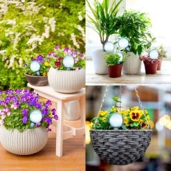 Druppelsysteem 12 Stuks Waterdruppelaar Voor Planten - Waterafgiftesysteem Voor 2 Weken - Beregening Voor Kamerplanten 15 Druppelsysteem 12 Stuks Waterdruppelaar Voor Planten - Waterafgiftesysteem Voor 2 Weken - Beregening Voor Kamerplanten -Tuin Aanleg 1200x1200 1903