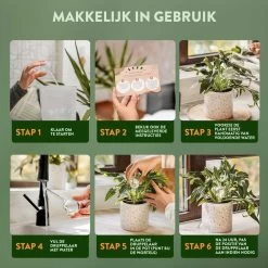 STFF & Co® Waterdruppelaar Voor Planten – Irrigatiesysteem Automatisch Watergeefsysteem – Waterbollen Voor Planten – Bewateringssysteem – 8 Stuks - 5cm -Tuin Aanleg 1200x1200 1932