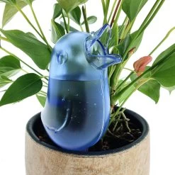 JS Drippy - Waterdruppelaars Set Van 2 Stuks - Druppelaar Vogel - Druppelsysteem Planten - Watergeefsysteem Kamerplanten - Waterbol - Blauw 9 JS Drippy - Waterdruppelaars Set Van 2 Stuks - Druppelaar Vogel - Druppelsysteem Planten - Watergeefsysteem Kamerplanten - Waterbol - Blauw -Tuin Aanleg 1200x1200 1940