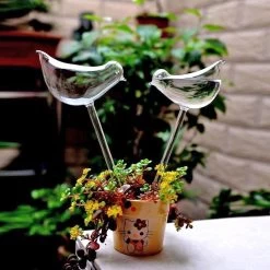 Planten Watergever Glazen Vogel (set Van 2) -Tuin Aanleg 1200x1200 1947