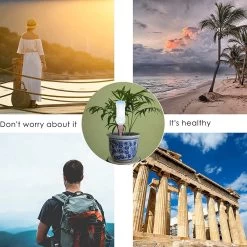 BOTC Waterdruppelaar Set Van 6 Stuks Voor Planten - Watergeefsysteem -Tuin Aanleg 1200x1200 1956