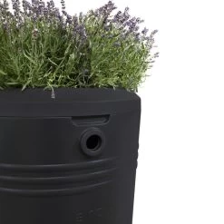 Elho Green Basics Regenton - Regenton - Living Black - Buiten - 200 Liter 26 Elho Green Basics Regenton - Regenton - Living Black - Buiten - 200 Liter -Tuin Aanleg 1200x1200 2093