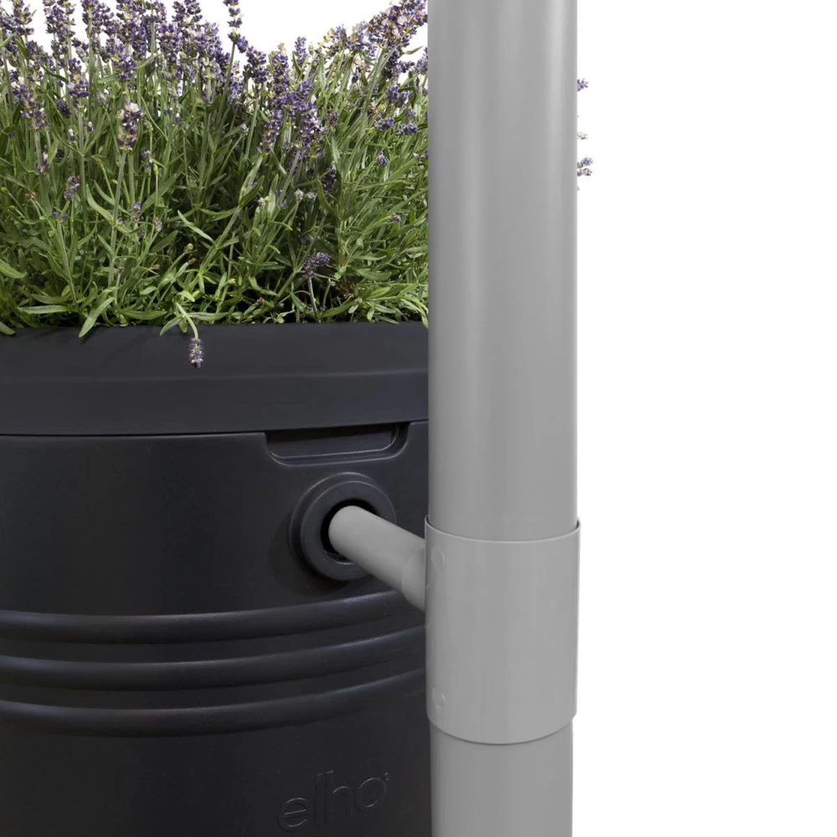 Elho Green Basics Regenton - Regenton - Living Black - Buiten - 200 Liter 17 Elho Green Basics Regenton - Regenton - Living Black - Buiten - 200 Liter - Afbeelding 15