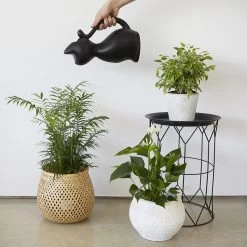 Balvi Meow! Kat Gieter - Zwart 10 Balvi Meow! Kat Gieter - Zwart -Tuin Aanleg 1200x1200 2204