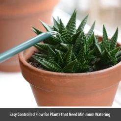 CKB LTD - Gieters - Gieter - Retro - Gietertje - Kleine Gieter Voor Binnen En Buiten - 1 Liter - Groen Plantengieter Tuingieter Bloemengieter Mini Klein Metaal Binnenplantjes Gietertjes Tuingieters Vintage Kamerplanten Buitengieter Binnenshuis -Tuin Aanleg 1200x1200 2206