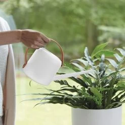 Elho B.for Soft Gieter 30 - Gieter Voor Binnenaccessoires - Ø 31.3 X H 0.0 Cm - Wit/Wit 12 Elho B.for Soft Gieter 30 - Gieter Voor Binnenaccessoires - Ø 31.3 X H 0.0 Cm - Wit/Wit -Tuin Aanleg 1200x1200 2211