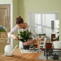 Elho Self-watering Insert 24 - Accessoires Voor Binnenaccessoires - Ø 23.7 X H 22.2 Cm - Zwart/Living Black -Tuin Aanleg 1200x1200 2272