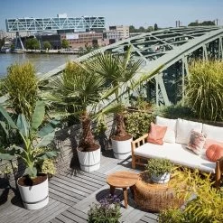 Elho Greenville Rond 30 - Grote Bloempot Voor Buiten - Gemaakt Van Gereycled Plastic - Ø 29.5 X H 27.8 Cm - Living Black -Tuin Aanleg 1200x1200 2303