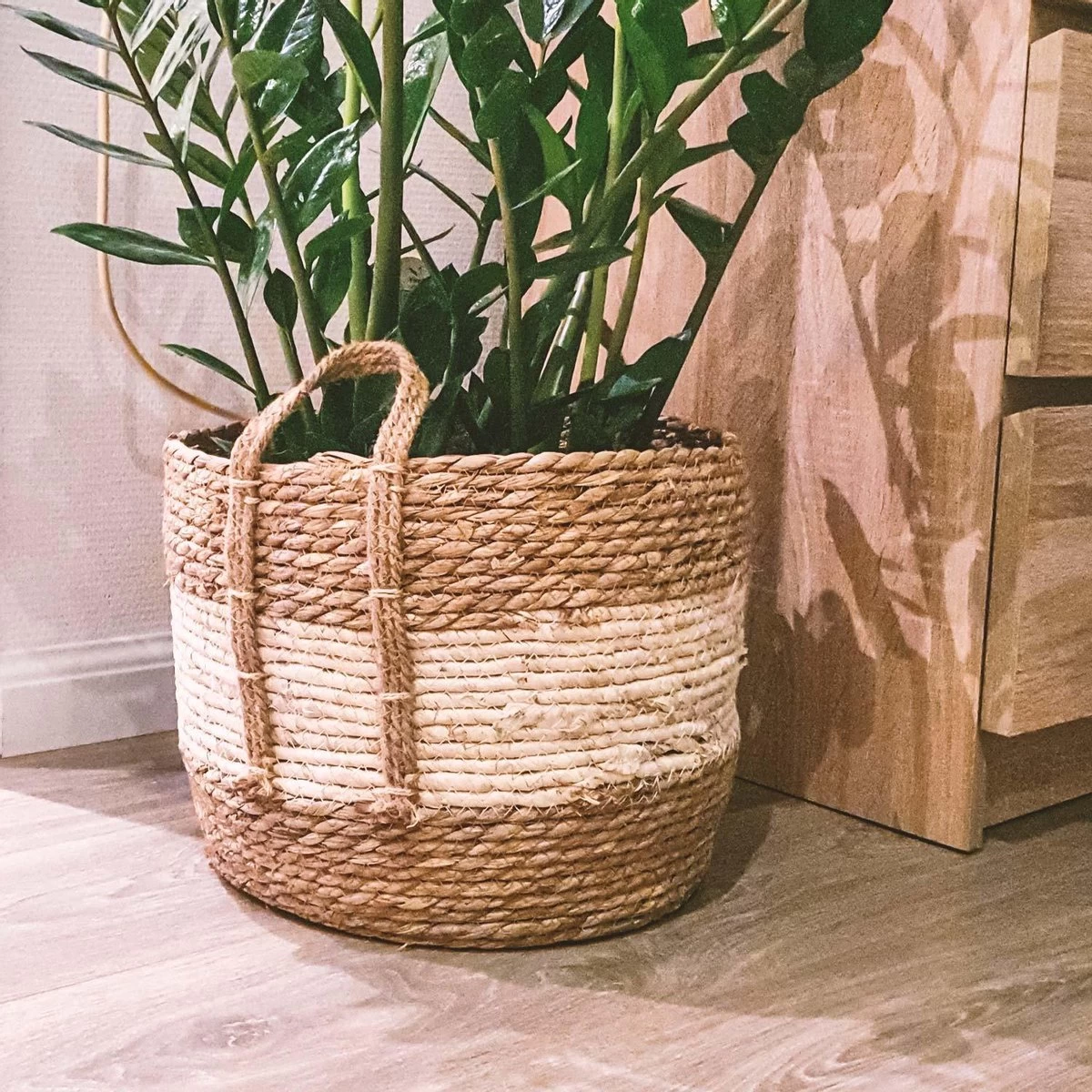 Merkloos Plantenmand 30x22cm Naturel Bruin – Multifunctionele Mand – Handgemaakt – Planten-houder – Planten Accessoires – Planten Mand 3 Merkloos Plantenmand 30x22cm Naturel Bruin – Multifunctionele Mand – Handgemaakt – Planten-houder – Planten Accessoires – Planten Mand
