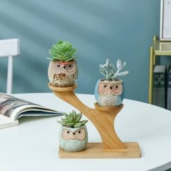 Luxe Bamboe Houten Boom Met 3 Keramiek Uil Bloempotten/Plantenpotten Op Standaard/Voet Voor Binnen En Buiten - Modern Design Bloempot/Plantenpot Op Poten/Pootjes-Plantenbak Mini Cactus Nep Plant Pot Houder - Kleine Bloembakken Plantenrek/Plantenkurk -Tuin Aanleg 1200x1200 2325