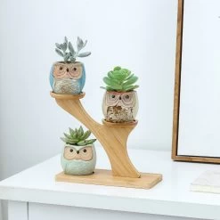Luxe Bamboe Houten Boom Met 3 Keramiek Uil Bloempotten/Plantenpotten Op Standaard/Voet Voor Binnen En Buiten - Modern Design Bloempot/Plantenpot Op Poten/Pootjes-Plantenbak Mini Cactus Nep Plant Pot Houder - Kleine Bloembakken Plantenrek/Plantenkurk -Tuin Aanleg 1200x1200 2327
