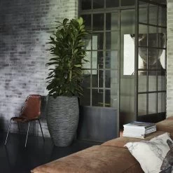 Capi Europe - Vaas Elegant Deluxe Rib NL - 40x60 - Antraciet - Voor Binnen En Buiten - KOFZ1131 -Tuin Aanleg 1200x1200 2338