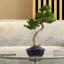 Happy Seed Keramieken Bonsai Pot (schaal) - Marine Blauw - Geglazuurd 9 Happy Seed Keramieken Bonsai Pot (schaal) - Marine Blauw - Geglazuurd -Tuin Aanleg 1200x1200 2363