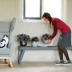 Elho Floorprotector Rond 25 - Accessoires Voor Binnen - Ø 25.0 X H 1.5 Cm - Transparant/Transparant -Tuin Aanleg 1200x1200 2385