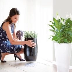 Elho Floorprotector Rond 25 - Accessoires Voor Binnen - Ø 25.0 X H 1.5 Cm - Transparant/Transparant -Tuin Aanleg 1200x1200 2386