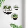 Loodi - Wand Decoratie - Ronde Stijlvolle Muur Plantenbak - Wit - 40x40x7cm -Tuin Aanleg 1200x1200 2387