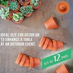 Garden Mania - 12 Mini Terracotta Keramische Klei Bloempotten Met Afvoergat, 8cm -Tuin Aanleg 1200x1200 2391