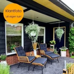 BUITEN Living Dex Wicker Loungestoel Tuin Incl. Wicker Voetenbank | Wicker + Aluminium | Bamboe Antraciet -Tuin Aanleg 1200x1200 366