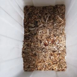 Gardebruk Hakselaar Elektrisch 2800W - 45mm Takdikte - Opvangbak 60 L 19 Gardebruk Hakselaar Elektrisch 2800W - 45mm Takdikte - Opvangbak 60 L -Tuin Aanleg 1200x1200 931