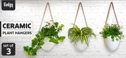 Gadgy Plantenhanger Keramiek - Set Van 3 - Hangpot Van Wit Steen - Hangende Bloempot Plantenpot - Met 3 Verschillende Koorden - 12x11x9.5CM -Tuin Aanleg 1200x552 3