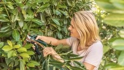 Bosch EasyPrune Accu Snoeischaar - 3.6 V Accu - USB -Tuin Aanleg 1200x675 43