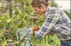 Stihl Accu Mini Kettingzaag SET - Snoeischaar - Snoeizaag - Hand Kettingzaag - Professioneel- Hovenier- Tuinman -Tuin Aanleg 1200x779 3