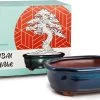 Happy Seed Keramieken Bonsai Pot (schaal) - Marine Blauw - Geglazuurd -Tuin Aanleg 1200x779 5