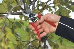 Felco 2 Snoeischaar - Rechtshandig - Max. Knipdiameter 25 Mm - Lengte 215 Mm -Tuin Aanleg 1200x796 8