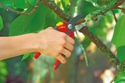 WOLF-Garten Snoeischaar "Premium Plus" RS 4000 - Aambeeld - Max. Knipdiameter 25 Mm - Links- En Rechtshandige - Softinleg Handgreep - Snijhoek 30° - Voor Grote Handen - Vervangbare Messen En Aambeeld 14 WOLF-Garten Snoeischaar "Premium Plus" RS 4000 - Aambeeld - Max. Knipdiameter 25 Mm - Links- En Rechtshandige - Softinleg Handgreep - Snijhoek 30° - Voor Grote Handen - Vervangbare Messen En Aambeeld -Tuin Aanleg 1200x798 20