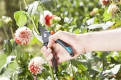 GARDENA Comfort B/M Bypass Snoeischaar - Ø 24mm - Met Sapgeul -Tuin Aanleg 1200x799 106