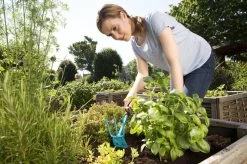 GARDENA Combisystem Tuinhak - Werkbreedte 6,5cm - 25 Jaar Garantie -Tuin Aanleg 1200x799 202
