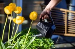 Xala - Gieter Doppio Groove 2L Zwart 7 Xala - Gieter Doppio Groove 2L Zwart -Tuin Aanleg 1200x799 259