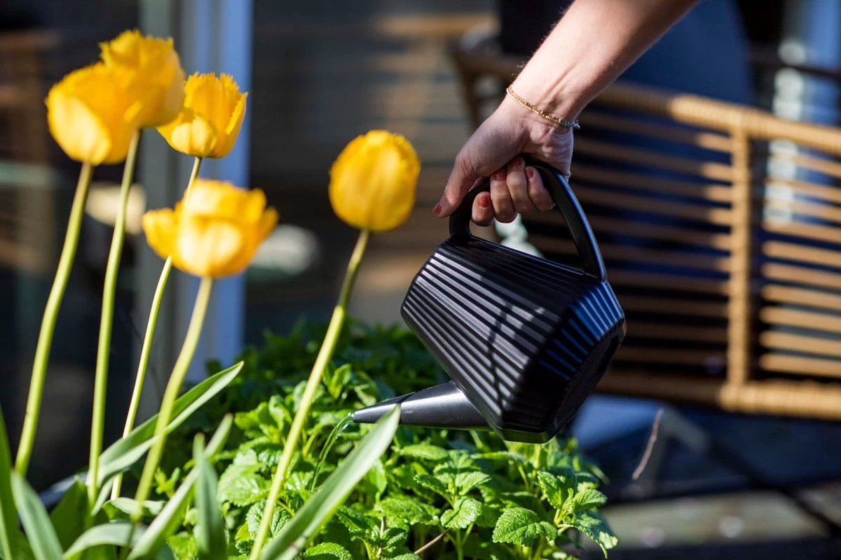 Xala - Gieter Doppio Groove 2L Zwart 5 Xala - Gieter Doppio Groove 2L Zwart - Afbeelding 3