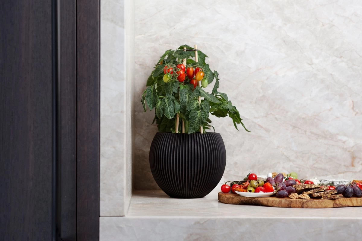 Capi Europe - Vaas Bol Groove - 29x26 - Zwart - Bloempot Voor Binnen - BGVBL104 4 Capi Europe - Vaas Bol Groove - 29x26 - Zwart - Bloempot Voor Binnen - BGVBL104 - Afbeelding 2