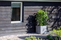 Capi Europe - Bloempot Vierkant Rib NL - 30x30x30 - Zwart - Voor Binnen En Buiten - KBLR902 -Tuin Aanleg 1200x799 269