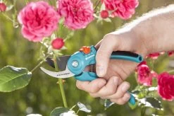 GARDENA - Classic B/S-M Bypass Snoeischaar - Ø 22mm - 25 Jaar Garantie 20 GARDENA - Classic B/S-M Bypass Snoeischaar - Ø 22mm - 25 Jaar Garantie -Tuin Aanleg 1200x799 87