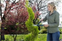 GARDENA PrecisionCut Buxusschaar - Meslengte 18 Cm - Vormsnoeien 20 GARDENA PrecisionCut Buxusschaar - Meslengte 18 Cm - Vormsnoeien -Tuin Aanleg 1200x800 193