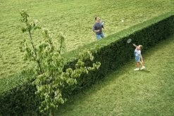 Bosch AHS 50-20 Accu Heggenschaar - Met 1 X 18 V Accu En Lader 16 Bosch AHS 50-20 Accu Heggenschaar - Met 1 X 18 V Accu En Lader -Tuin Aanleg 1200x800 291